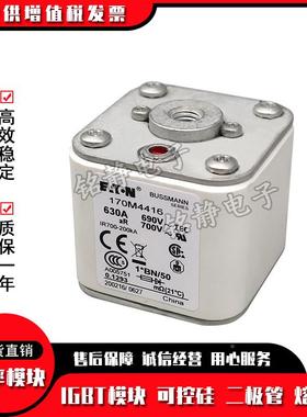 170M3408170M4930210170M4310170M431巴斯1曼170M4312熔断器