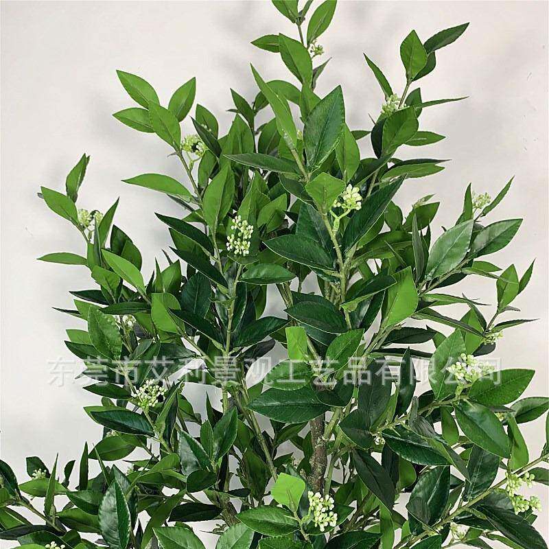 绿月桂树盆栽桂AL-YGS-0花叶幸装福榕植树客厅卧室饰假树盆景