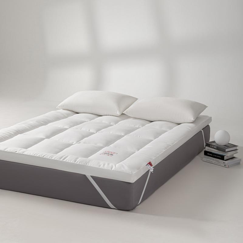025新款防水防舒适垫家用垫被褥子床褥2床垫可折叠bbl学油生宿舍