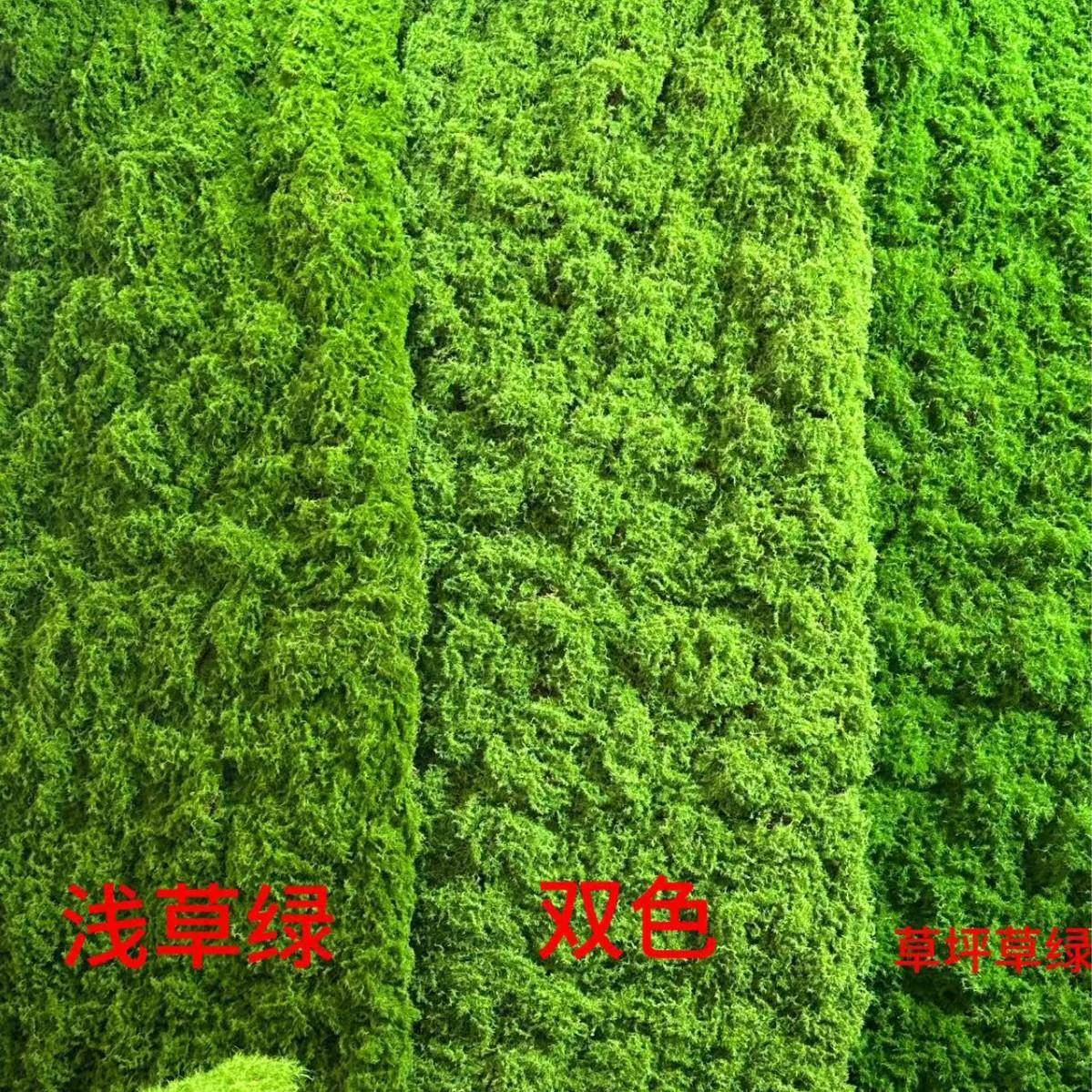 青苔仿真假藓丝LX-AF175绿曲色植物橱窗造景苔装饰落地植绒草植物