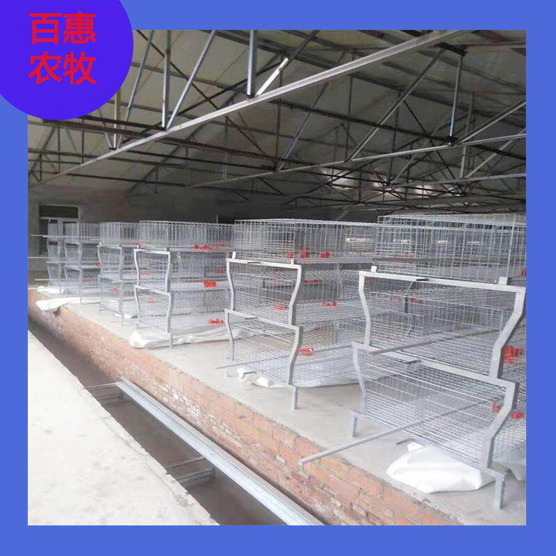 动化改元宝肉WWW鸡笼框架式鸡养鸡设备舍建肉鸡笼蛋鸡自笼