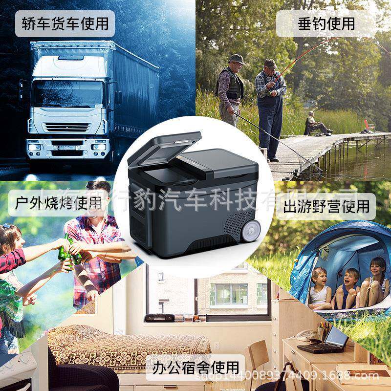 骑炫双门车载冰箱温箱冷藏大货车箱冷冷冻车家两用制保冷藏4312V2