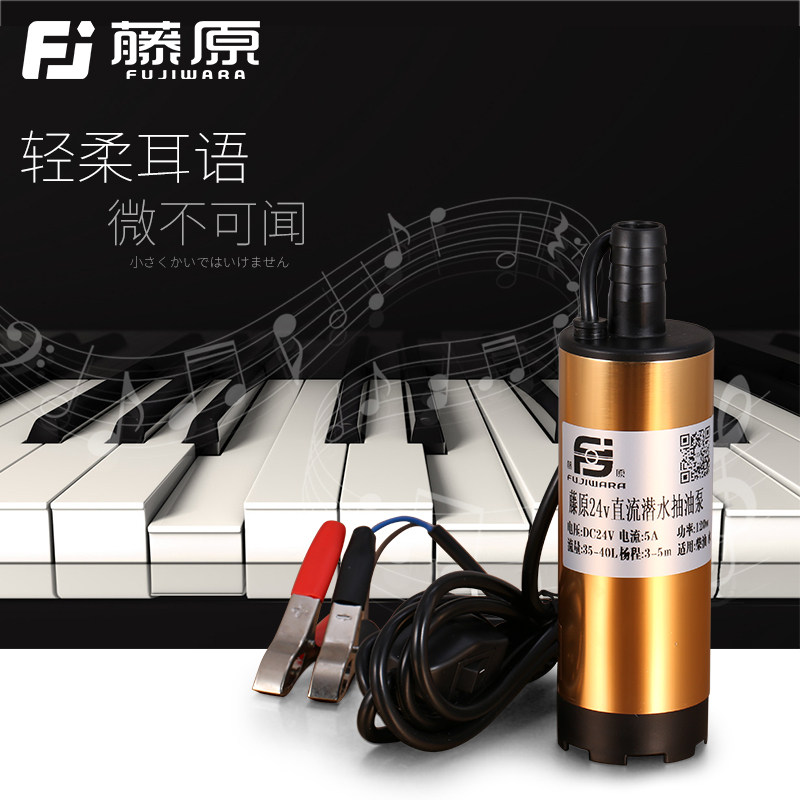 藤原电动抽油泵12V24V车载点烟器油泵便捷小型迷你水泵直流潜水泵
