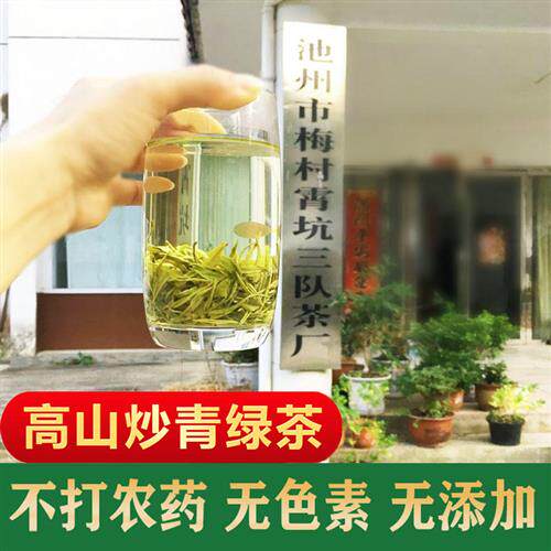 2025年新茶正宗霄坑茶叶 头采 高山生态绿茶池州特产肖坑绿茶