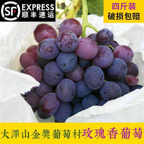 金奖葡萄大泽山玫瑰香葡萄新鲜孕妇水果4斤山东青岛平度顺丰包邮