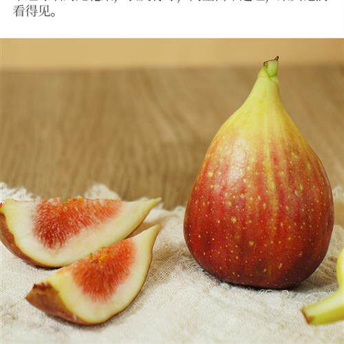 人品食品有机青皮无花果干新货即食健康零食泡水煲汤水果干100g