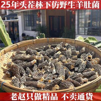 2025年老赵精选头茬仿野生种植羊肚菌干货菌菇云南特产山珍煲汤