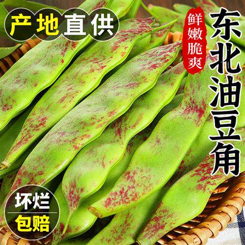 正宗东北油豆角5斤当季农家九月青大宽豆角脆甜豆角新鲜蔬菜包邮3