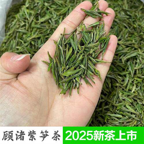 2025新茶紫笋茶高山湖州长兴顾渚本土绿茶兰花香醇明前茶叶可配礼