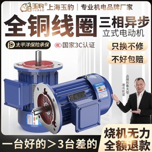 2.2 1.5 电机380V 全铜三相异步电动机0.75 5.5KW立式 1.1