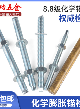 8.8级化学螺栓 化学锚栓 高强度化学蓬胀螺丝固定剂M12M16M20