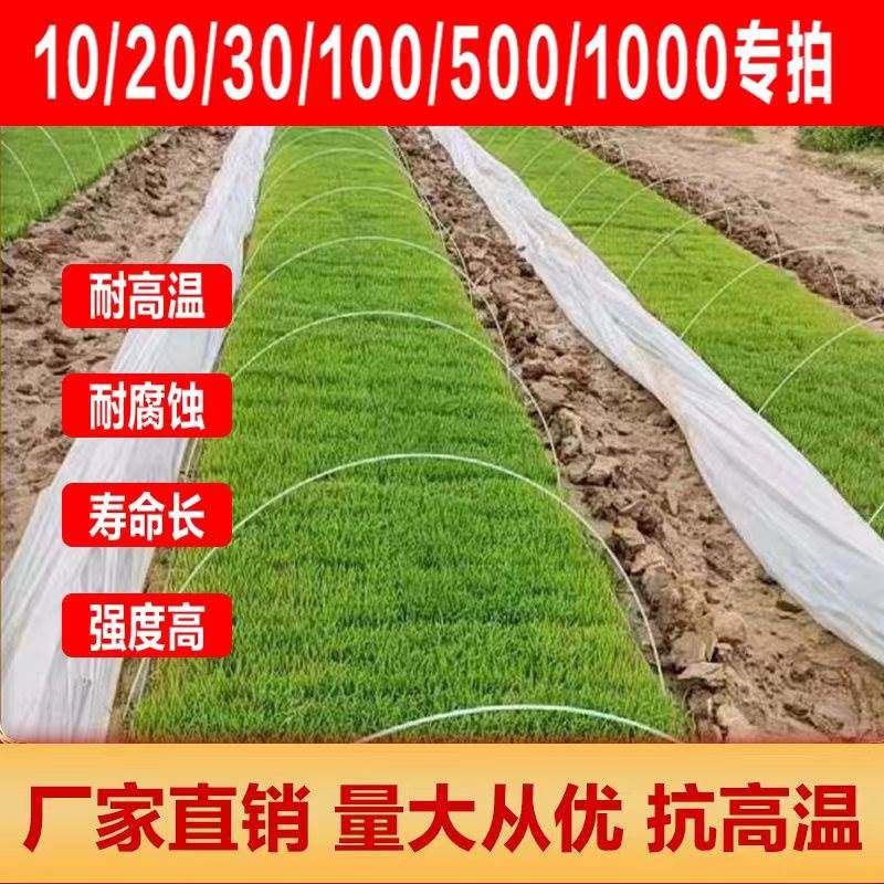 菜棚拱杆新型拱棚支架玻璃纤维杆弹力棒可弯曲塑料杆温室架子实心,金属材料及制品,金属丝/绳/缆,淘宝优惠券,粉丝福利购,淘宝优惠卷