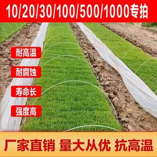 菜棚拱杆新型拱棚支架玻璃纤维杆弹力棒可弯曲塑料杆温室架子实心