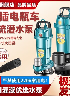 电瓶车专用抽水泵无刷智能直流潜水泵48V60V72V通用家用农田