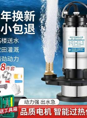 潜水泵2泵2v水泵大功率0耐用农用污水不锈用钢家高扬BNB程型抽水