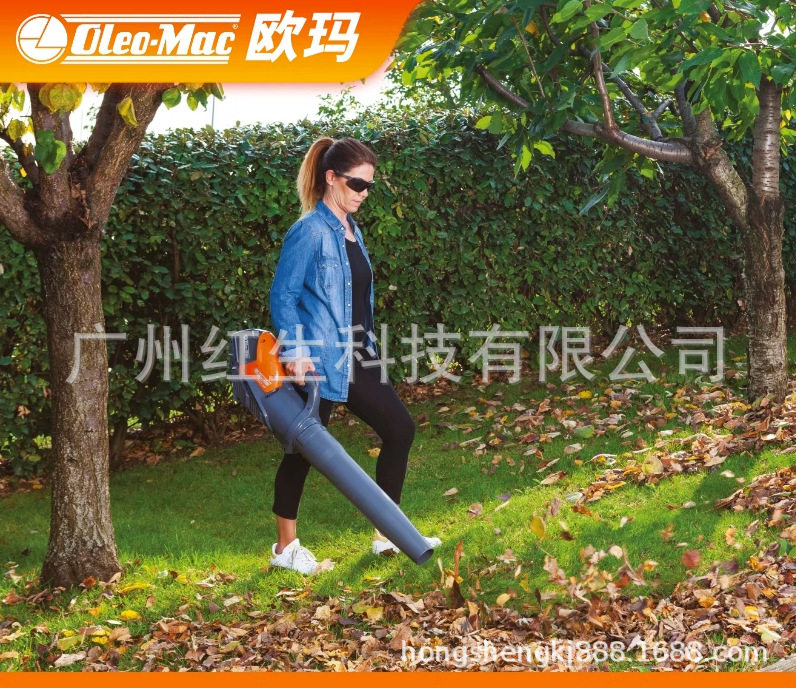 欧玛BVi60锂电鼓风机吹尘吹风机
