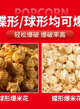 谷全机摆摊自动球形蝶形爆机谷JOJ不锈钢爆米爆花机