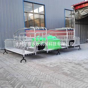 养殖场一猪体两用养型设备升级版母猪产床FXH床保育两用复合板产