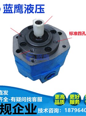 BB-B16/B20/B25摆线泵BB-B32N滤油车油冷 净油机液压摆线齿轮油泵