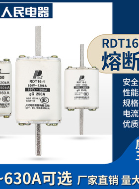 人民电器集团RDT16-00 NT00 RT36 160A 200A250A熔断器保险丝熔芯