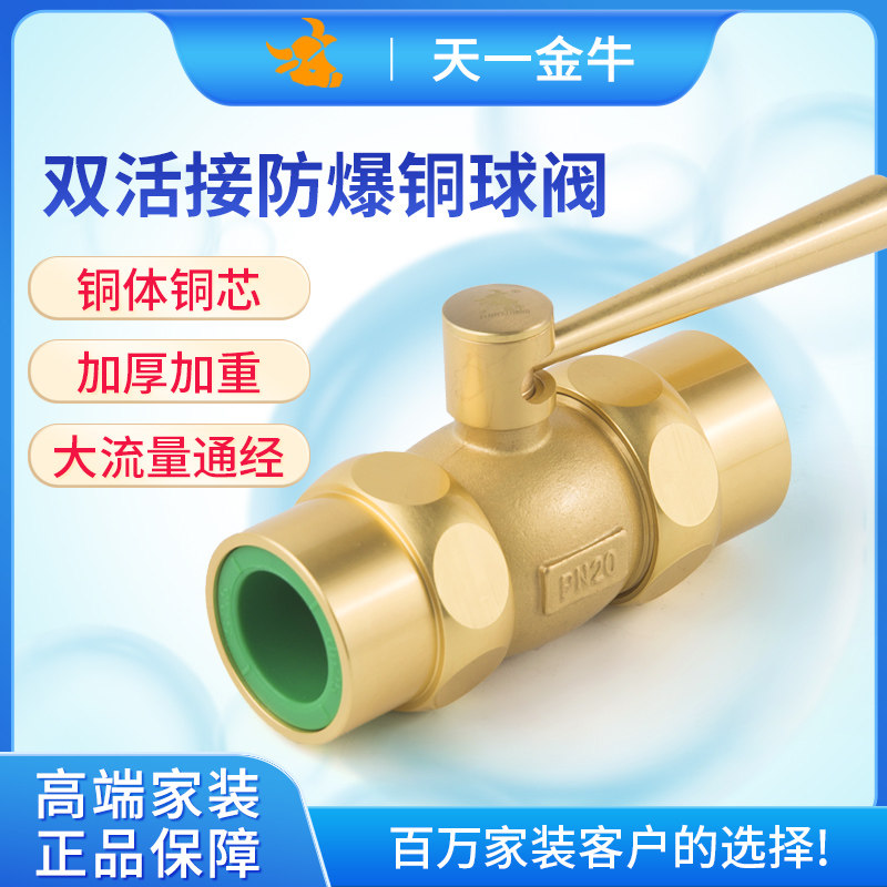 天一 金牛PPR双活接防爆铜阀门 4分 6分 1寸 ppr球阀 水管配件