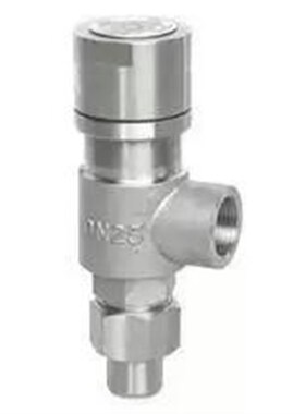 不锈钢弹簧微启式丝扣安全阀A21H/W/Y/F-16P/25P/40P/64P可做低温