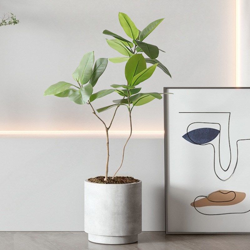 仿真橡皮树绿植盆栽家居室内客厅落地装饰植物造景摆件假树盆景,农用物资,苗木固定器/支撑器,淘宝优惠券,粉丝福利购,淘宝优惠卷