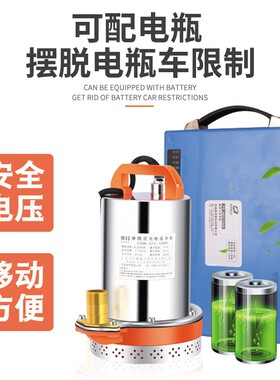 12V24V48V60V伏直流潜水泵电瓶车水泵电动车抽水泵农用高扬程灌溉