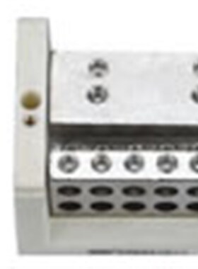 FJ6/JTS2A-295/1250二路进十二路出分线端子【海燕接线盒】