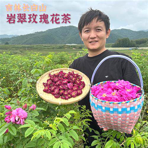 岩翠长白山原生种纯玫瑰花茶 花香浓郁 铿锵玫瑰