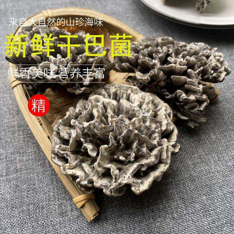 26年新鲜干巴菌 云南土特产蘑菇下单火腿肉嫩脆味道浓顺丰包邮