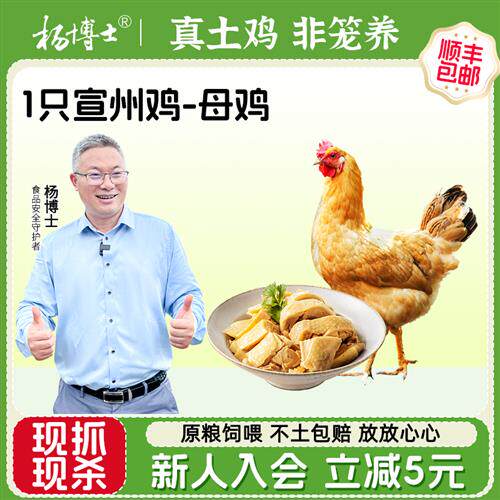 杨博士散养母鸡深山散养原粮饲喂宣州鸡现抓现杀跑山鸡新鲜整只