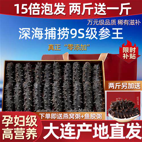 大连淡干海参国标15倍纯野生海鲜9年干货礼盒装深海辽刺参孕妇补