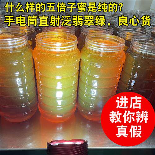 新鲜深山五倍子蜂蜜 气血湿 蜂农自采纯净药花蜜 天然原蜜2斤装