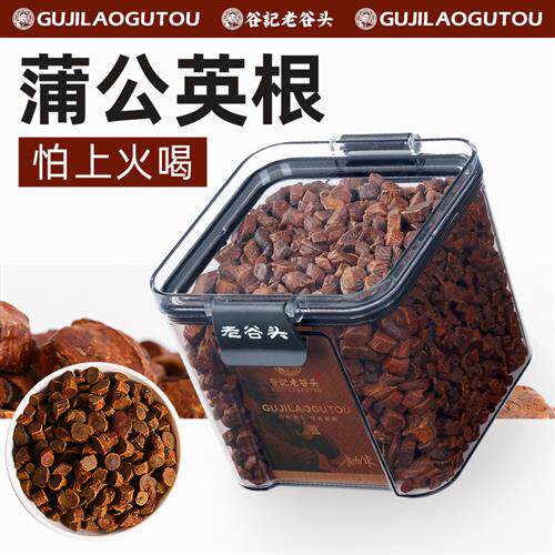 老谷头蒲公英根茶红茶纯浦公英根茶泡水长白山