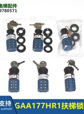 GAA177HR1自动扶梯锁GAB26220AM5开关锁D-7H87*01 AT17F874