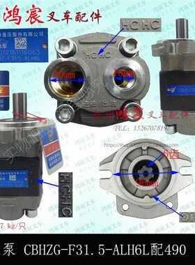 叉车液压油泵齿轮油泵6右后进出CBHZ-F31.5-ALH6L龙工合力1-3.5吨