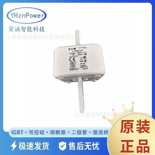 170M3812 170M3812D快速熔断器/保险丝100A 700V  原装现货