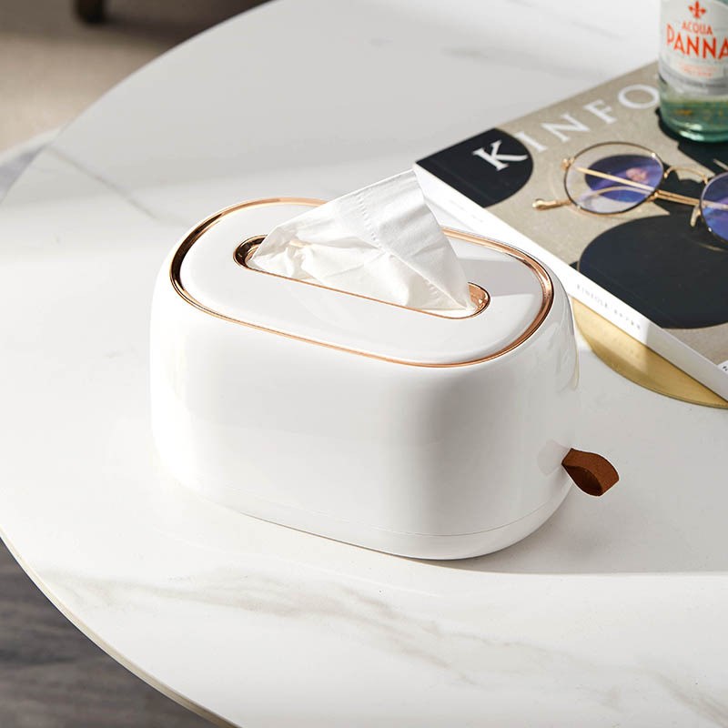 HAYAN海迎纸巾盒抽纸盒家用客厅高档创意收纳壁挂式弹簧餐巾纸盒