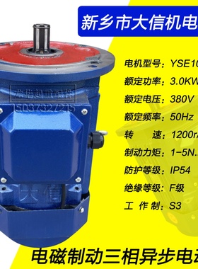 新乡大信软启动电机YSE100L-4 2.2 3.0KW起重机天车驱动运行电机