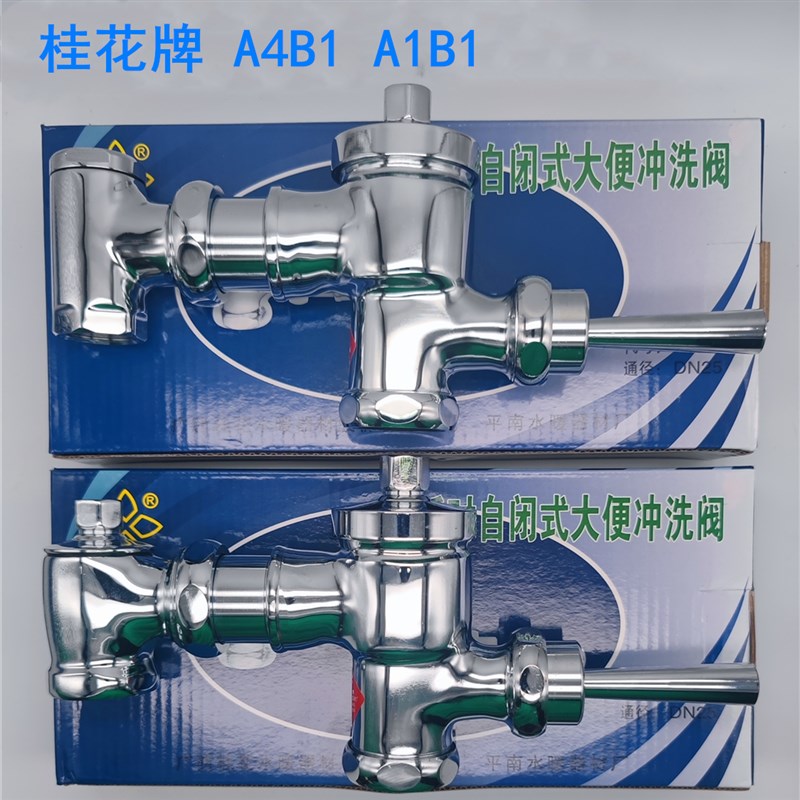 正品桂花牌冲洗阀冲水阀自闭式大便阀全铜4分1寸延时A4B1厕所A1B1