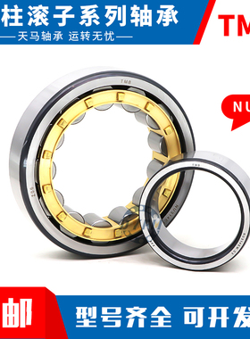 天马圆柱滚子轴承N NU NJ RN NUP NF210 211 212 213EM C3 4 P5 6