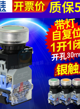 一佳30mm平头自复位带灯按钮开关LED YJ139 LA38-11DN 12V24V220V