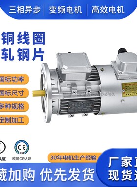 0.75/1.5KW变频调速电机YVF/YVP8024/7124/6324三相380V变频电机