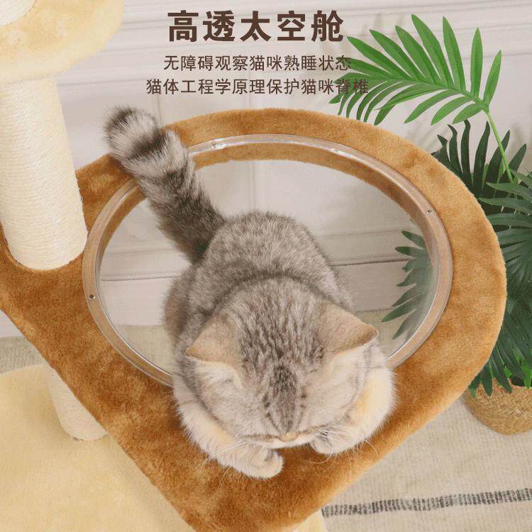 实木柱子猫爬架藤编多省猫树A猫窝猫抓板猫跳台剑麻猫别墅