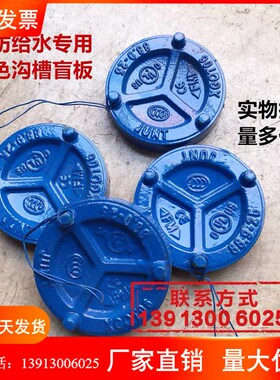 蓝色给水沟槽盲板 沟槽堵头 供水专用沟槽堵头 卡箍封头 沟槽管件