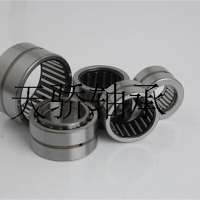 NAV4013 4074113  天骄滚针轴承 65*100*35