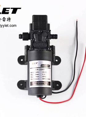 GB-2342金雷特12V24V高压洗车水泵 GB-2442微型自吸电动隔膜泵