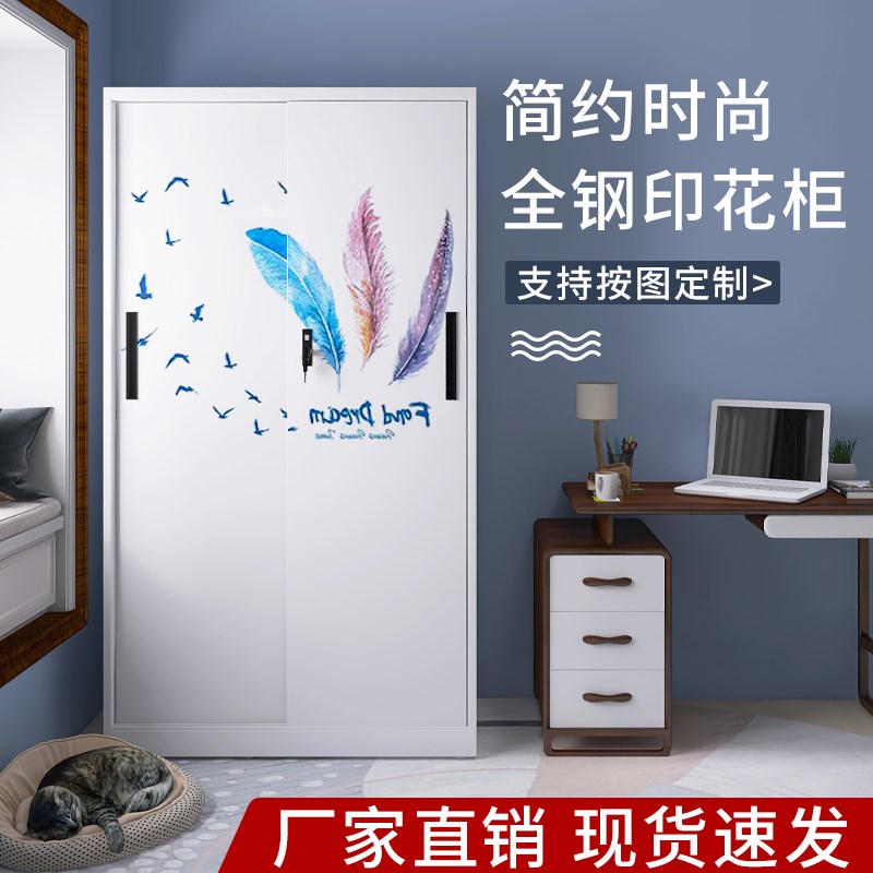 铁皮衣柜带锁钢制家用卧室推拉门儿童印花衣柜大容量收纳储物柜子