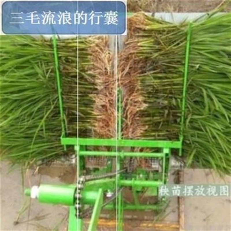 插秧机水稻农用耐用播种2020育秧秧盘稻田方T便牢固手推省时工